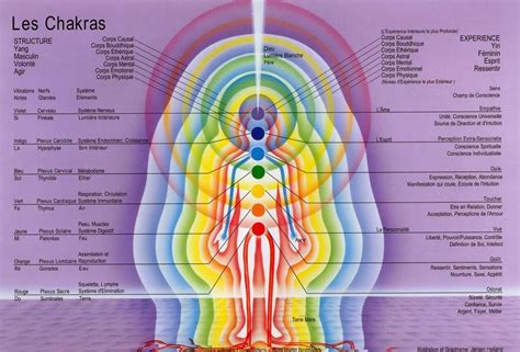 Illustration représentant les différents chakras du corps humain avec l'Œil de Tigre
