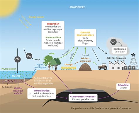 Schéma illustrant la composition de la pâte d'argent et le processus de cuisson