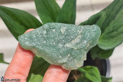 Inclusions de mica dans une pierre d'aventurine verte