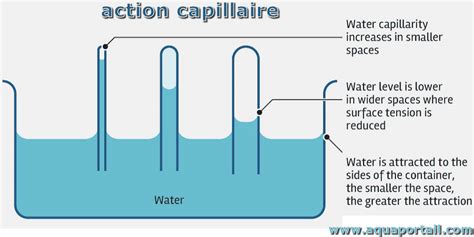Infographie illustrant le principe d'autolubrification par capillarité dans une bague en bronze