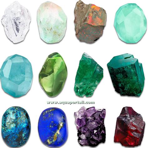 Illustration représentant les 28 Gemmes dans leur environnement, certaines en posture de combat, d'autres accomplissant diverses tâches.