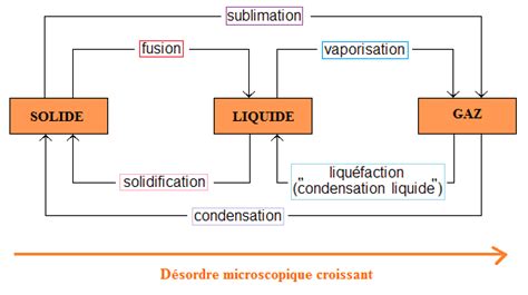 Schéma illustrant les transformations physiques de Phosphophyllite : perte des jambes, greffe de nouvelles jambes, acquisition de bras extensibles.