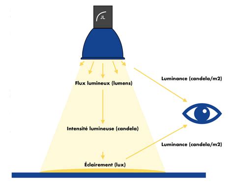 Schéma illustrant la portée de visibilité du pendentif lumineux pour chien dans l'obscurité.