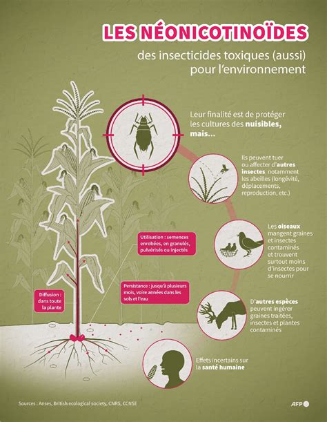 Infographie expliquant la symbolique des pendentifs courants