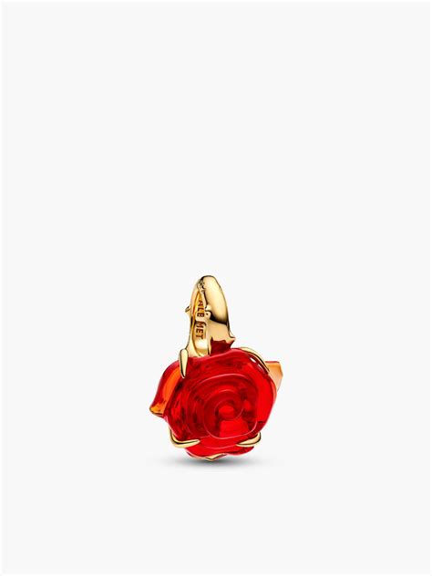 Détail du charm de Belle avec la rose et le symbole de l'infini