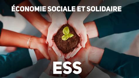 Infographie expliquant les principes de l'Économie Sociale et Solidaire