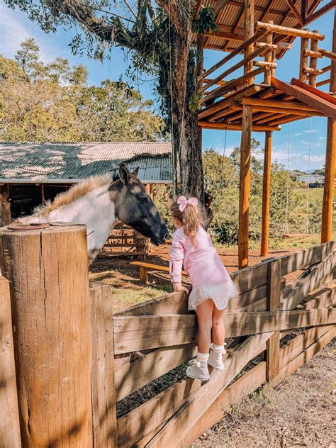 Photo de Fanny Boyer interagissant avec un cheval