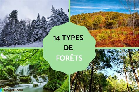 Schéma illustrant différents types de forets pour tôle et leurs applications