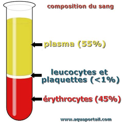 Schéma de la composition minérale du jaspe sanguin
