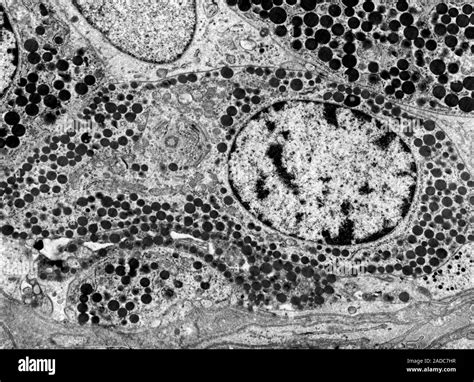 Micrographie d'une citrine montrant des zones de couleurs et des inclusions