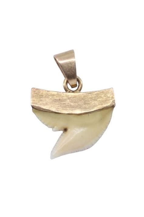 Gros plan sur un pendentif dent de requin en argent avec des détails gravés