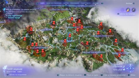 Vue aérienne de la forêt de Pandora avec des points lumineux indiquant des collectibles