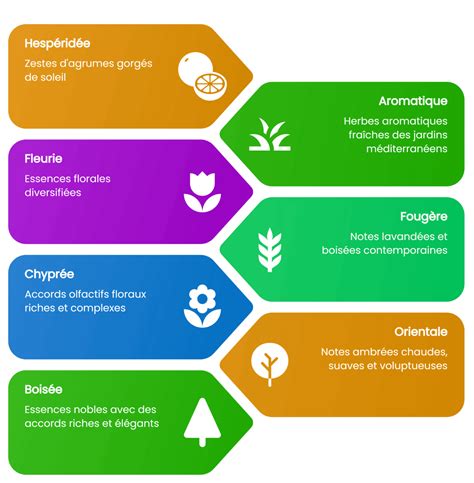 Infographie présentant les différentes familles olfactives des parfums Van Cleef & Arpels, avec des exemples de notes clés pour chaque fragrance.