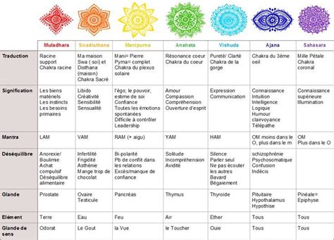 Infographie représentant les différents chakras et leur association avec la pierre œil de tigre.