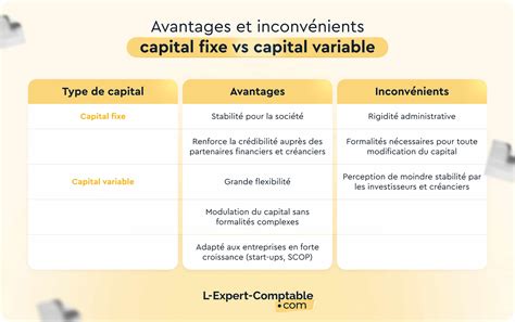 Infographie expliquant la différence entre capital social fixe et variable dans une société