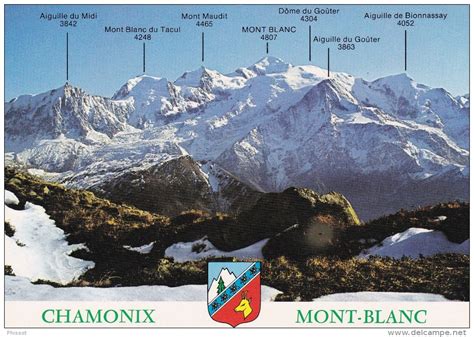 Vue panoramique de Chamonix avec le massif du Mont-Blanc en arrière-plan.
