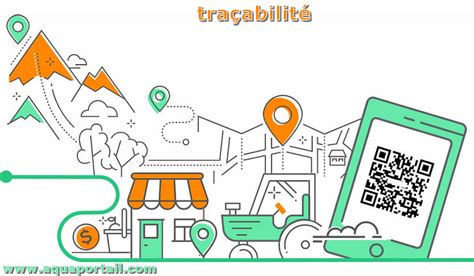 Schéma illustrant le processus de traçabilité d'un diamant depuis la mine jusqu'au bijou, avec mise en évidence du poinçon unique.