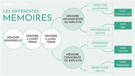 Illustration expliquant le fonctionnement des différents types de cookies sur un site web