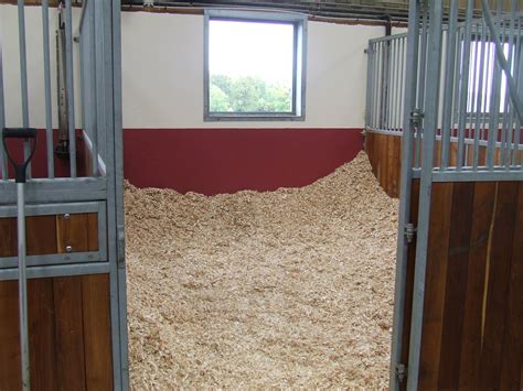 Photo d'un cheval dans un box spacieux avec litière en copeaux.