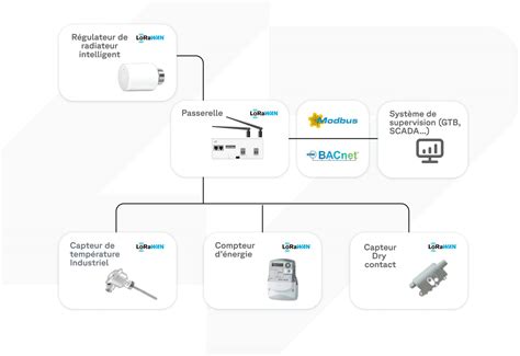 Schéma illustrant les capteurs de l'Oura Ring et les données biométriques collectées.