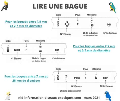 Exemples de bagues fermées et de leur lecture