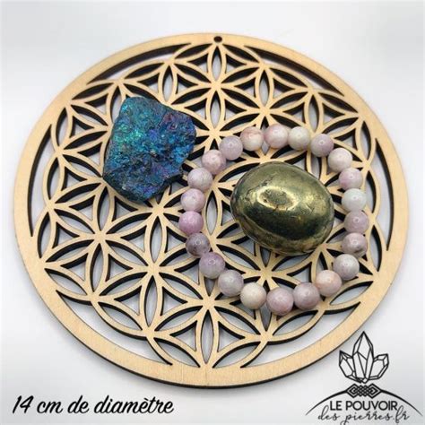 Illustration d'une Fleur de Vie en bois pour la recharge des pierres