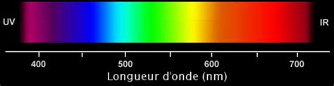 Infographie expliquant le spectre de la lumière visible et les longueurs d'onde associées aux couleurs.