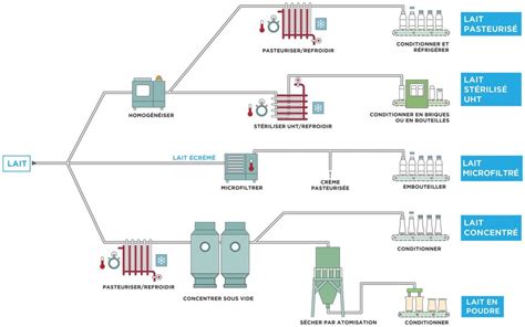 schéma du processus de transformation du lait maternel en bijou