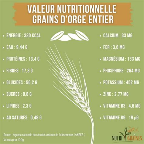 Infographie présentant les bénéfices de l'orge perlé et des légumes racines pour la santé