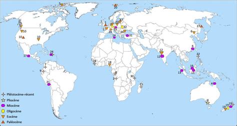 Carte des principaux gisements d'ambre dans le monde.