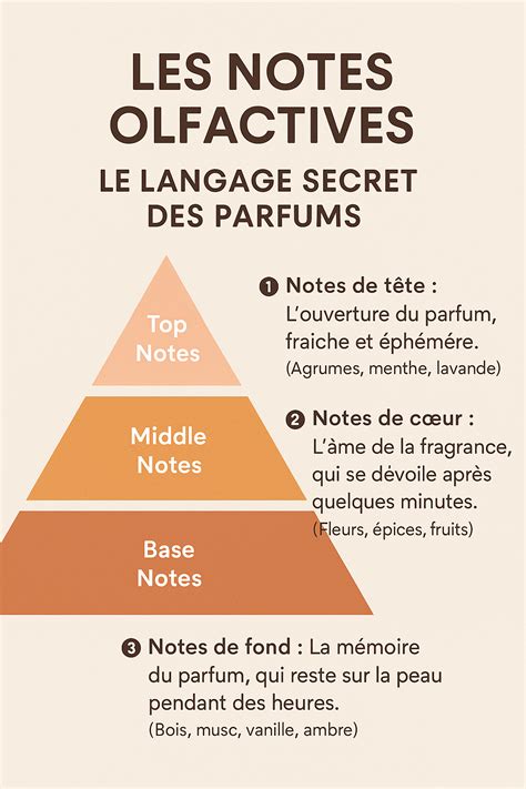 Infographie présentant les différentes notes olfactives des parfums de la Collection Extraordinaire.