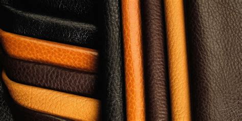 Schéma comparatif des différents types de cuir et de leurs grains