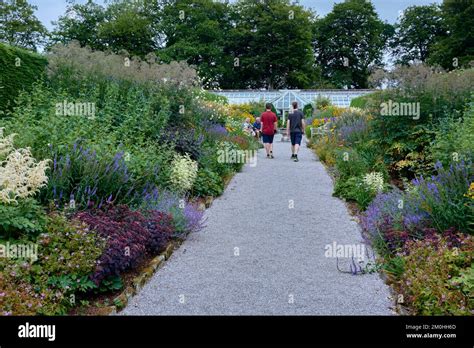 Gros plan sur des fleurs dans le jardin de Dumfries House, capturant l'atmosphère paisible et royale.