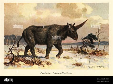 Illustration ou reconstitution de la Licorne de Sibérie (Elasmotherium sibiricum)