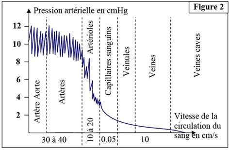 Graphique illustrant l'incidence de la pression sur la courbe de solubilité.