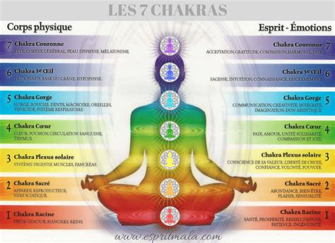 Schéma des chakras et leur équilibrage énergétique