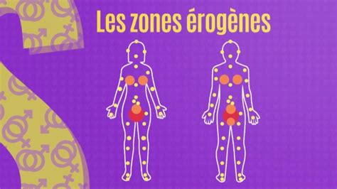 Illustration des différentes zones érogènes féminines
