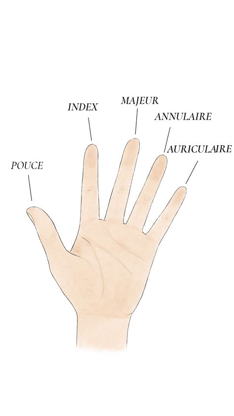 Infographie montrant les différents doigts pour porter une chevalière et leur symbolique.