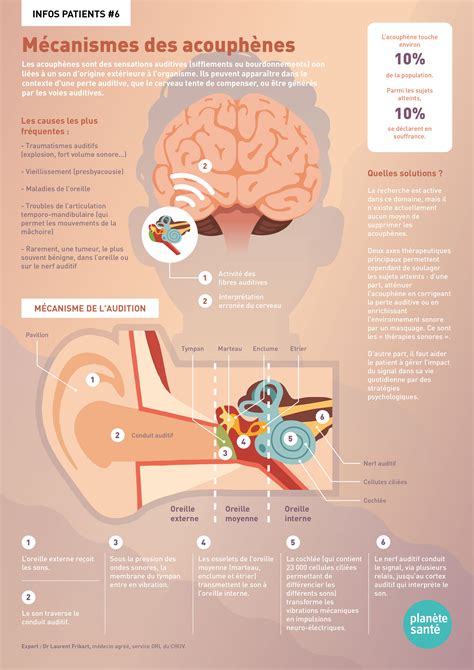 Schéma représentant l'effet de masquage sonore en journée et l'amplification des acouphènes dans le silence nocturne.