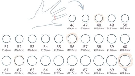Diversité de supports de bagues réglables avec différentes tailles de plateaux et de sertis coniques pour la personnalisation.
