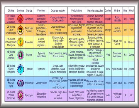 Infographie des chakras et de leurs correspondances avec l'œil de tigre