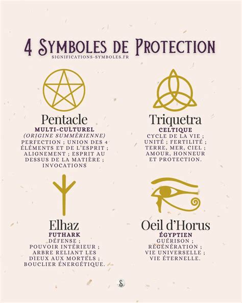 Graine d'Œil de Bœuf, symbole de protection et de bonne fortune