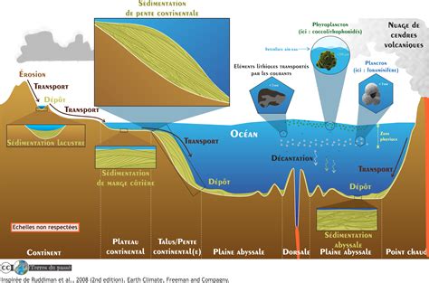 Schéma illustrant la formation de l'onyx par accumulation de silice
