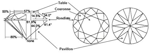 Schéma détaillé du jonc