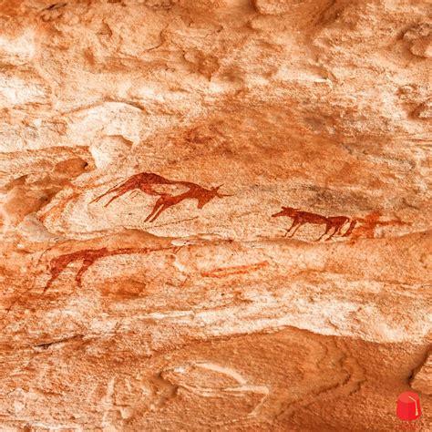 Photographie du collier 