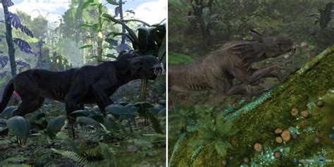 Illustration d'un Thanator en combat