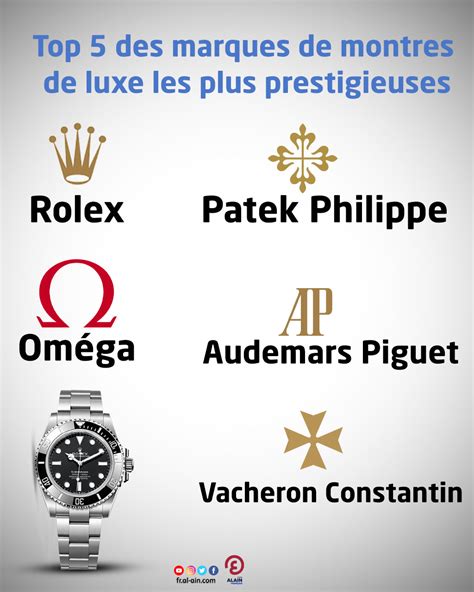 Infographie présentant la diversité des marques de montres homme disponibles