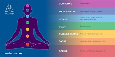 Infographie sur les chakras associés à l'obsidienne neige et leur rôle.
