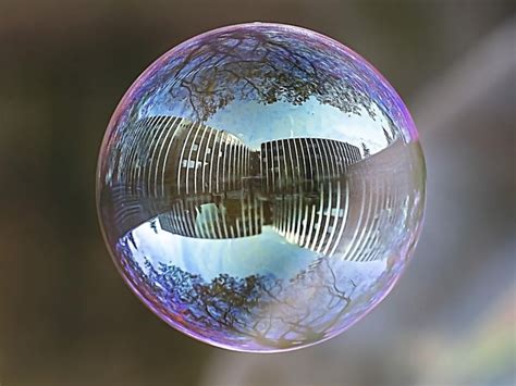 Gros plan sur une pierre à bulles diffusant de fines bulles d'air dans un aquarium