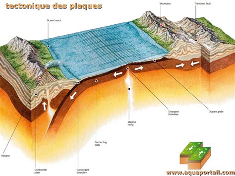 Schéma de la formation des plaques tectoniques et de l'activité volcanique qui amène les minéraux à la surface de la Terre.